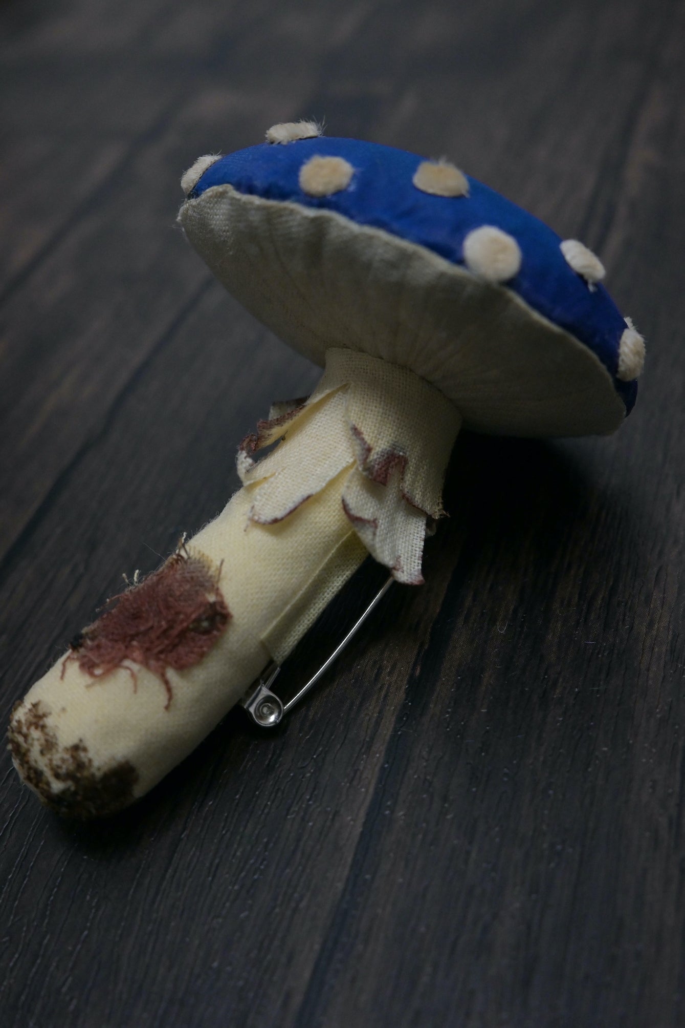 毒蠅傘|藍色大毒菇|心口針