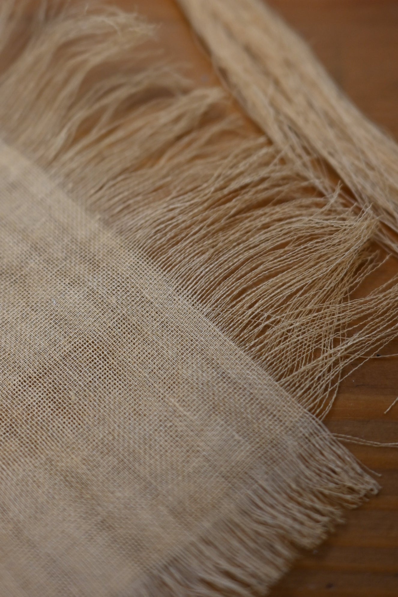 神社紙垂|耳環 (粉紅色)