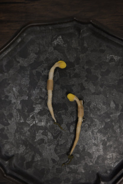 芽芽芽菜｜心口針