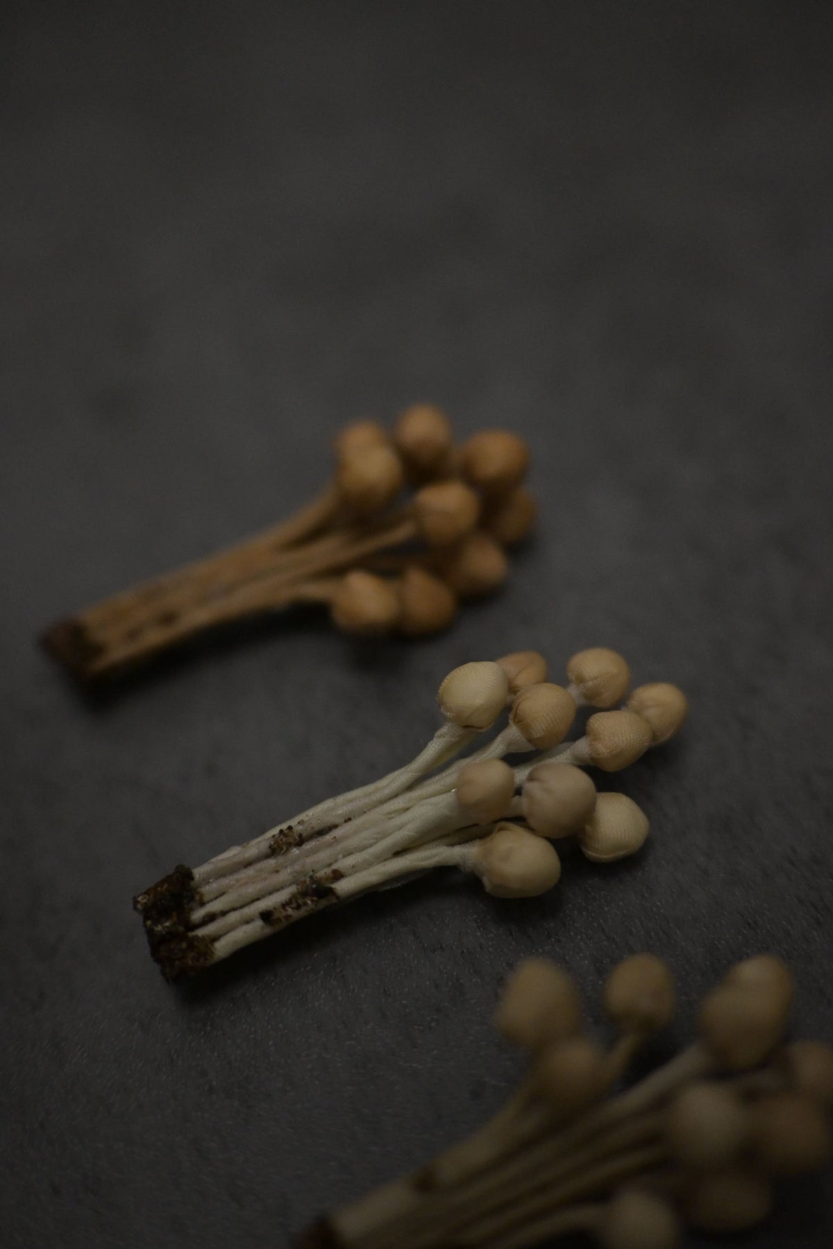天然染｜茶染金菇心口針