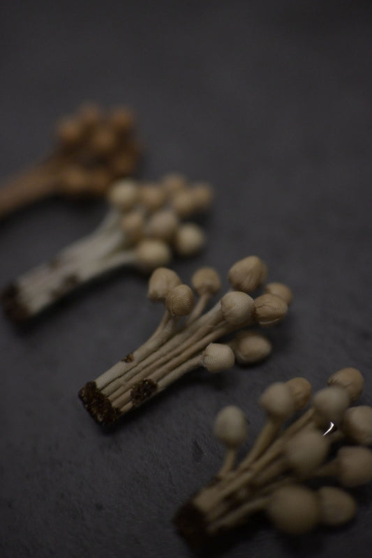 天然染｜茶染金菇心口針