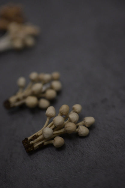 天然染｜茶染金菇心口針