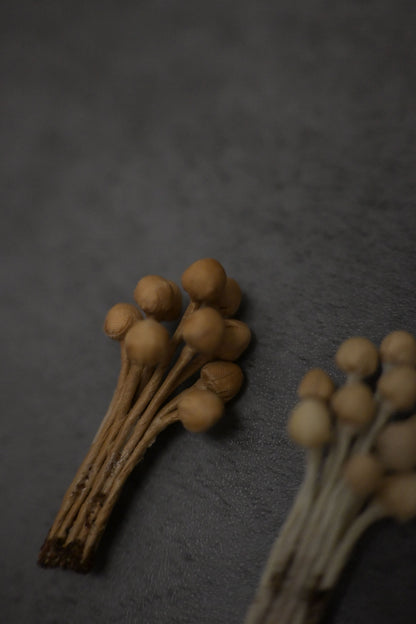 天然染｜茶染金菇心口針