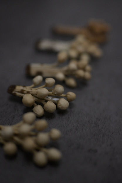 天然染｜茶染金菇心口針