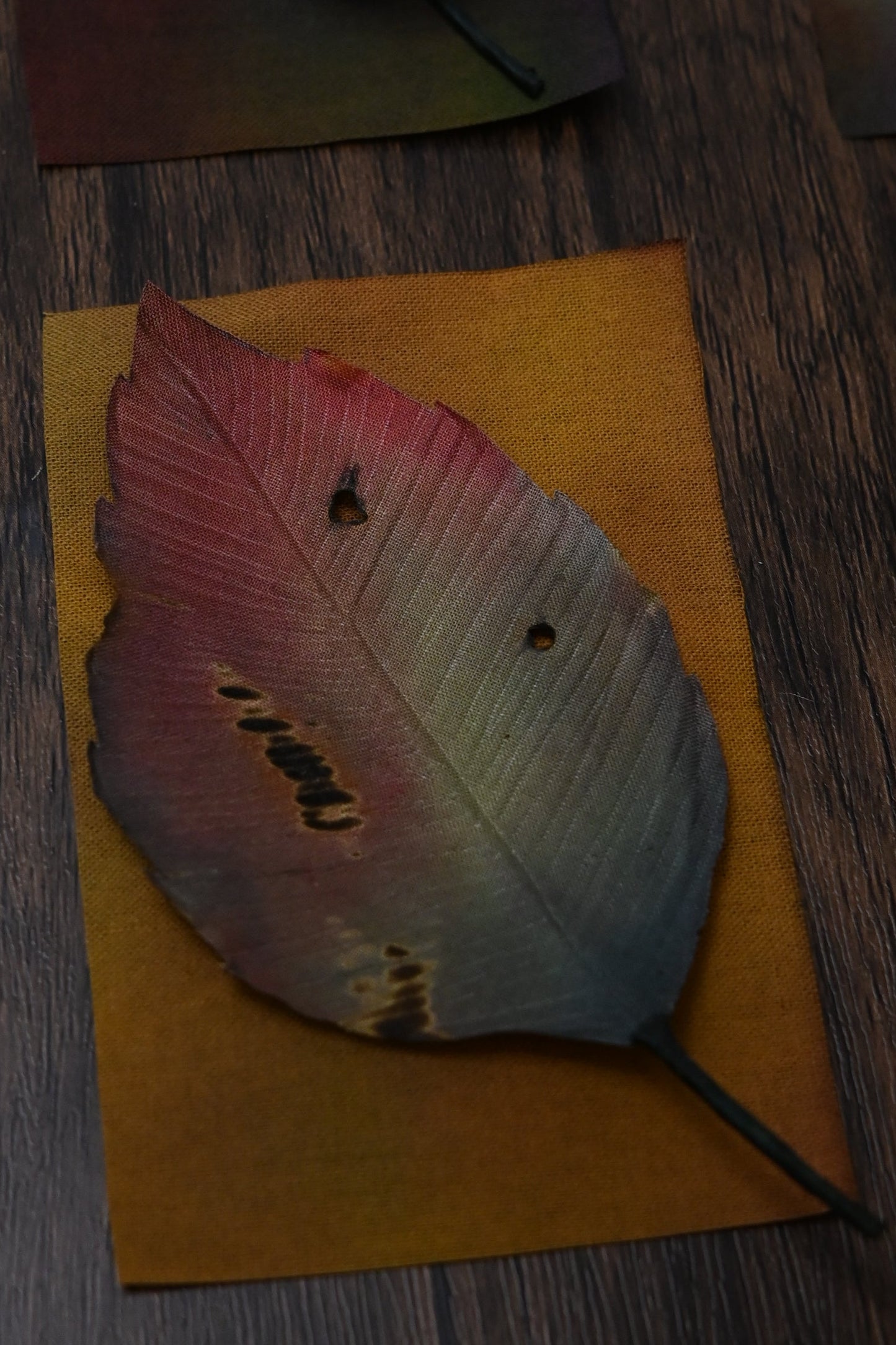 枯葉心口針／髮夾班