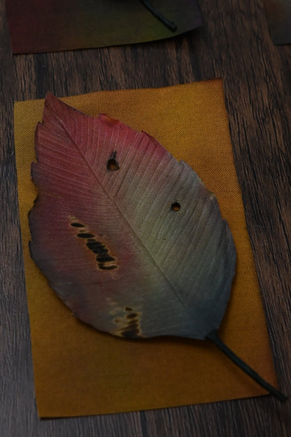 枯葉心口針／髮夾班