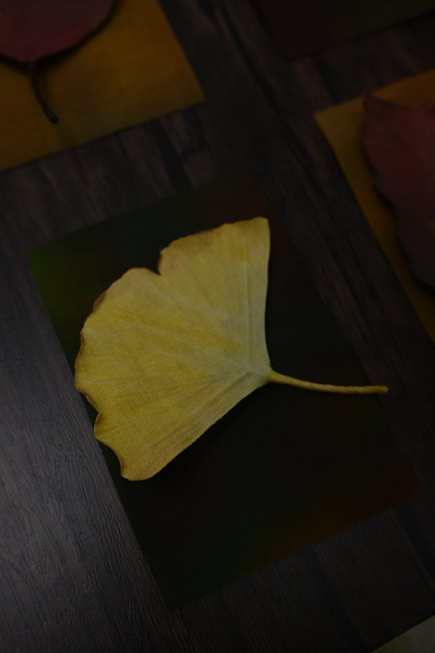 銀杏心口針／髮夾班