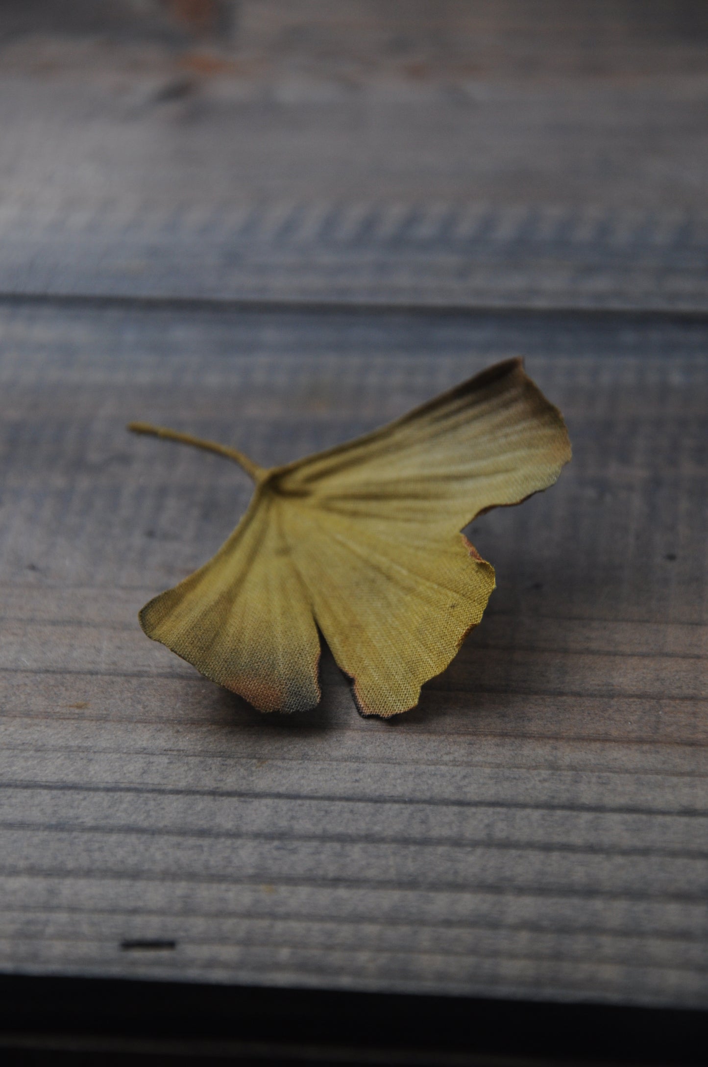 銀杏心口針／髮夾班