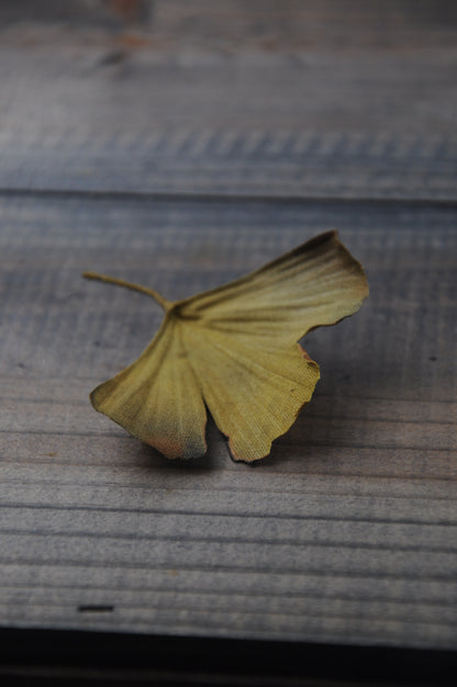 銀杏心口針／髮夾班