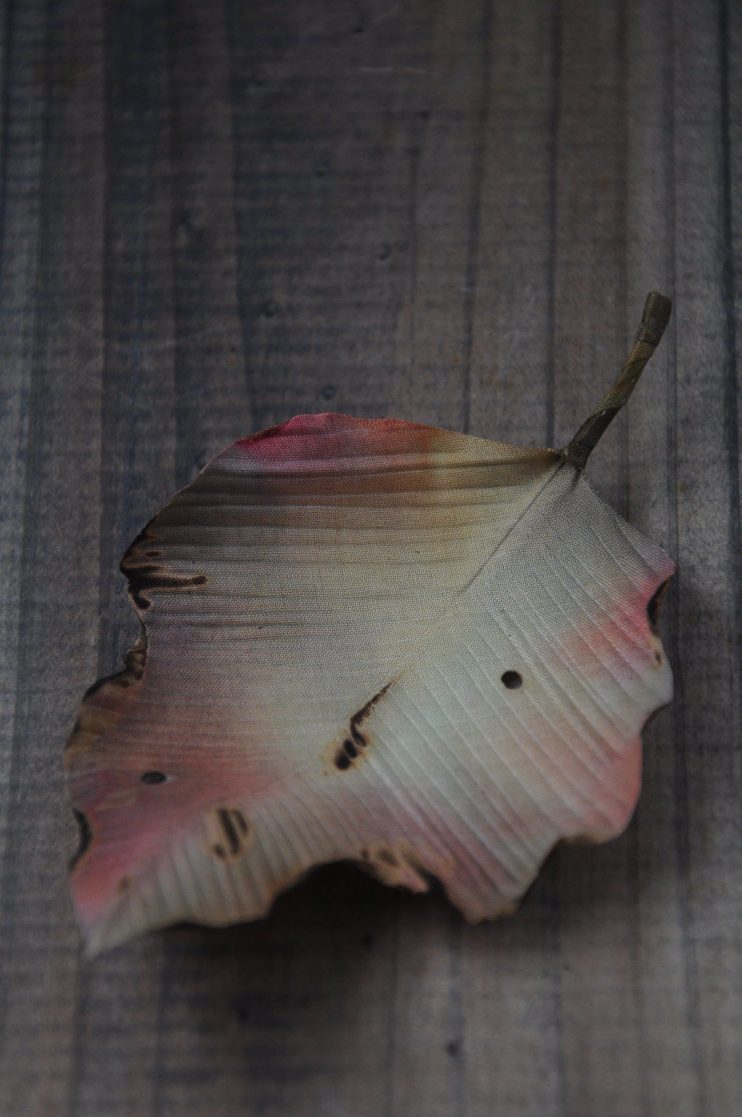 枯葉心口針／髮夾班