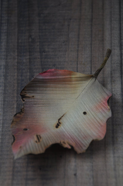 枯葉心口針／髮夾班