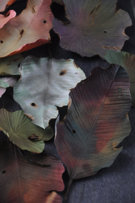 枯葉心口針／髮夾班