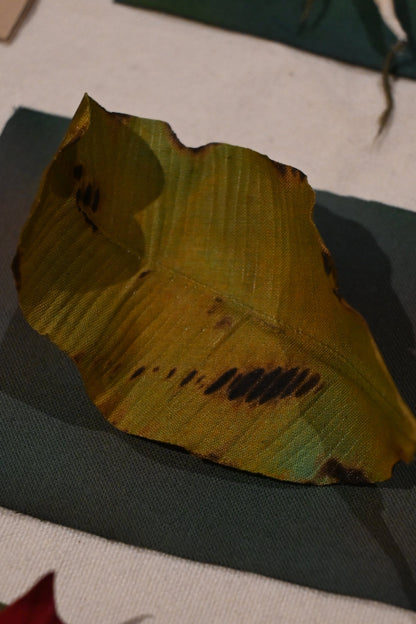 枯葉心口針／髮夾班