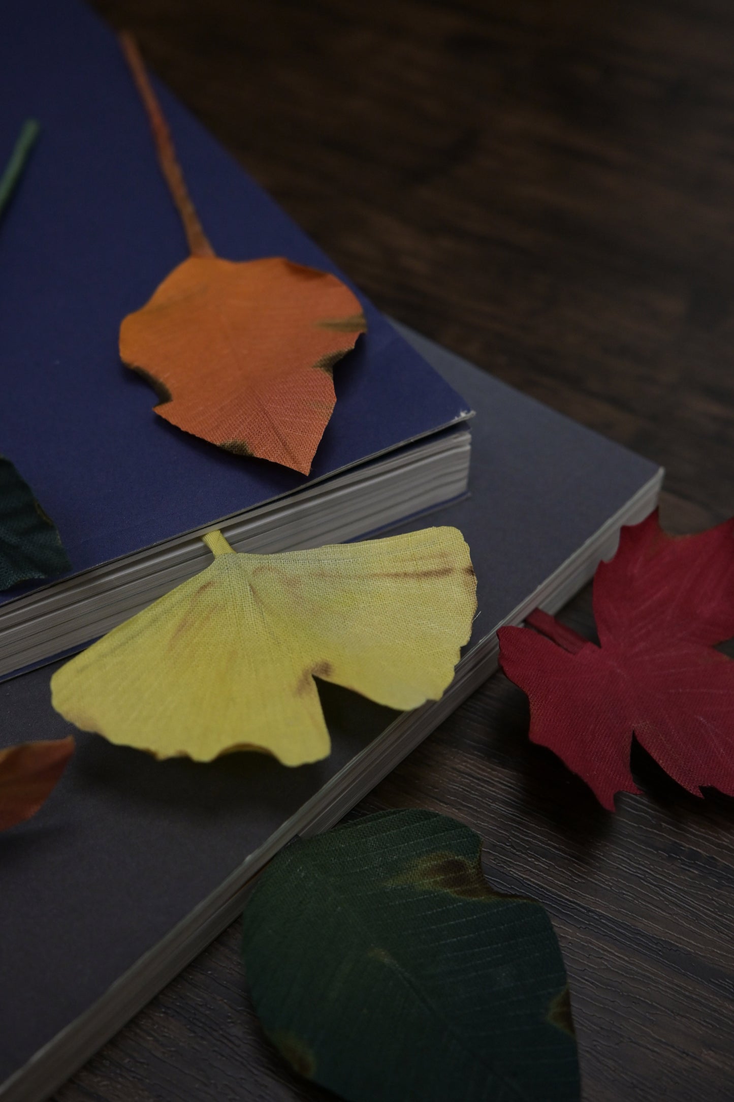 一葉書籤｜銀杏