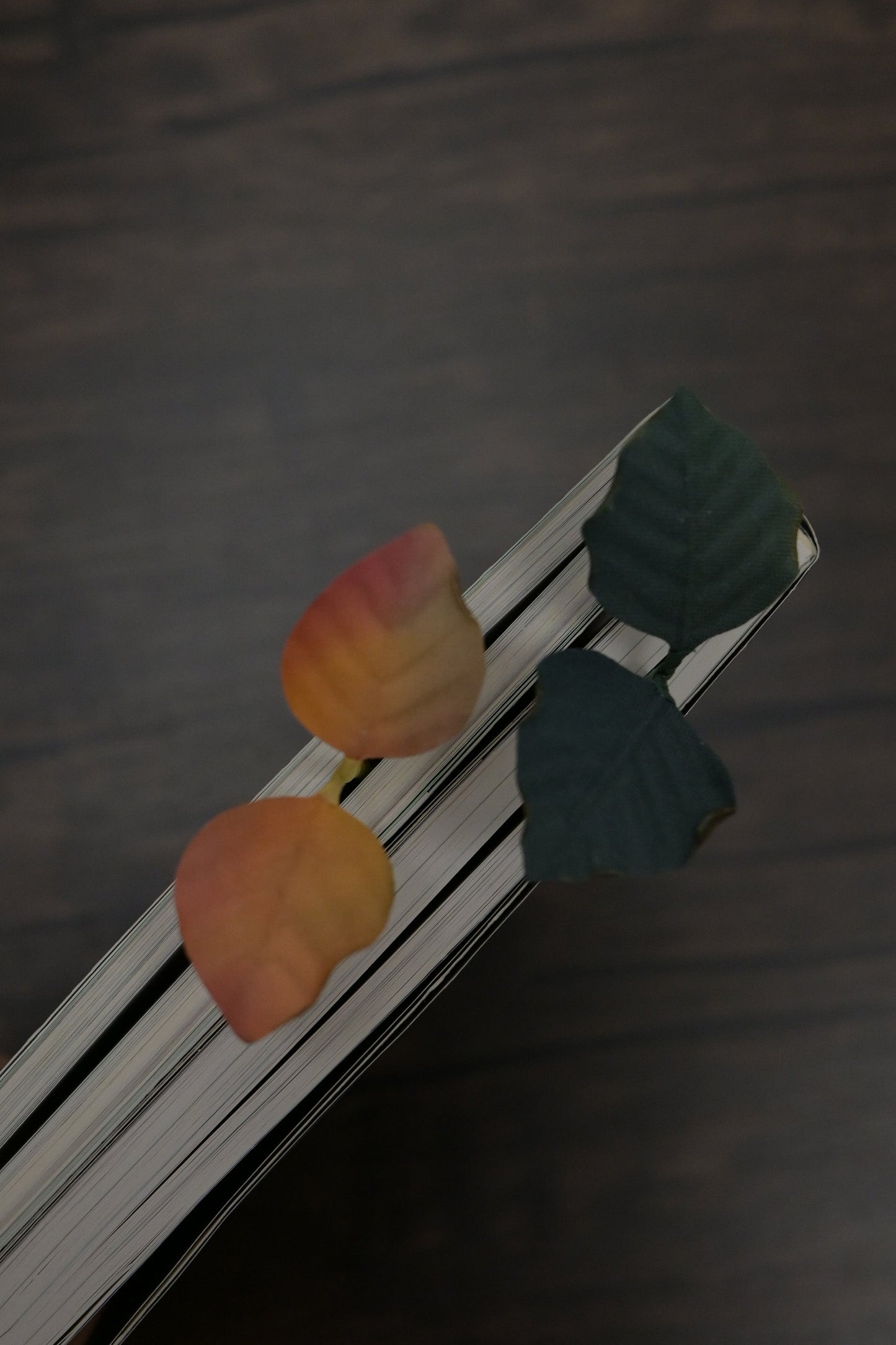 一葉書籤｜雙葉