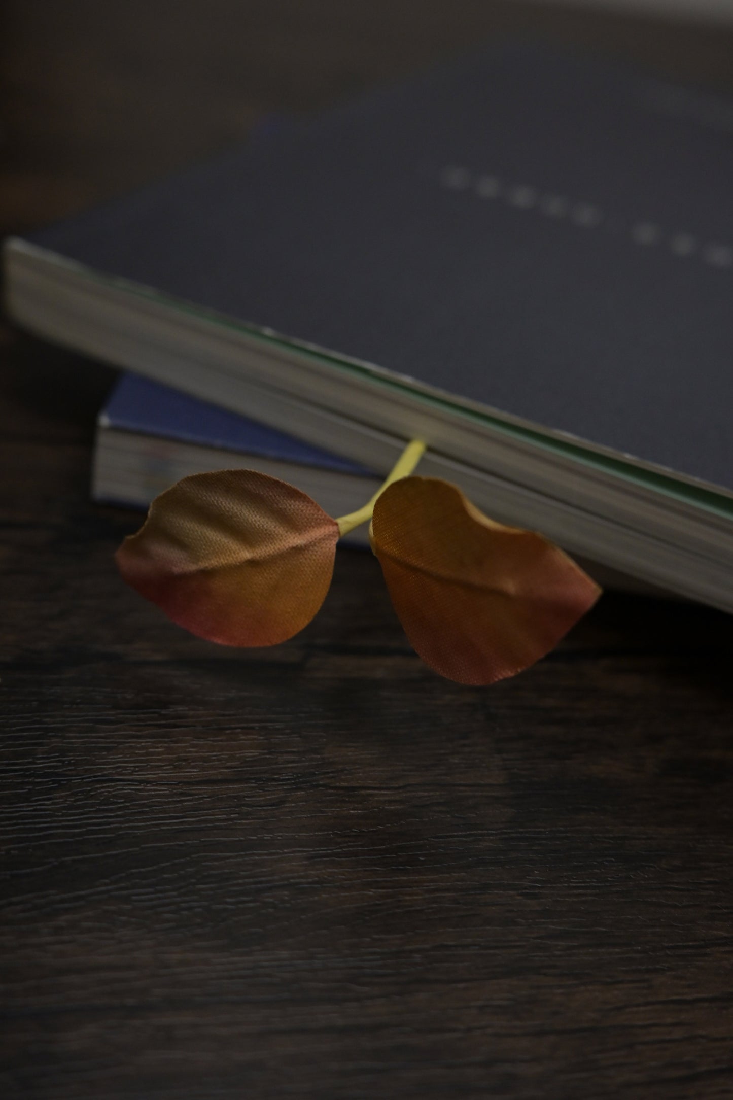 一葉書籤｜雙葉