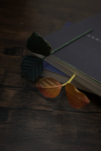 一葉書籤｜雙葉