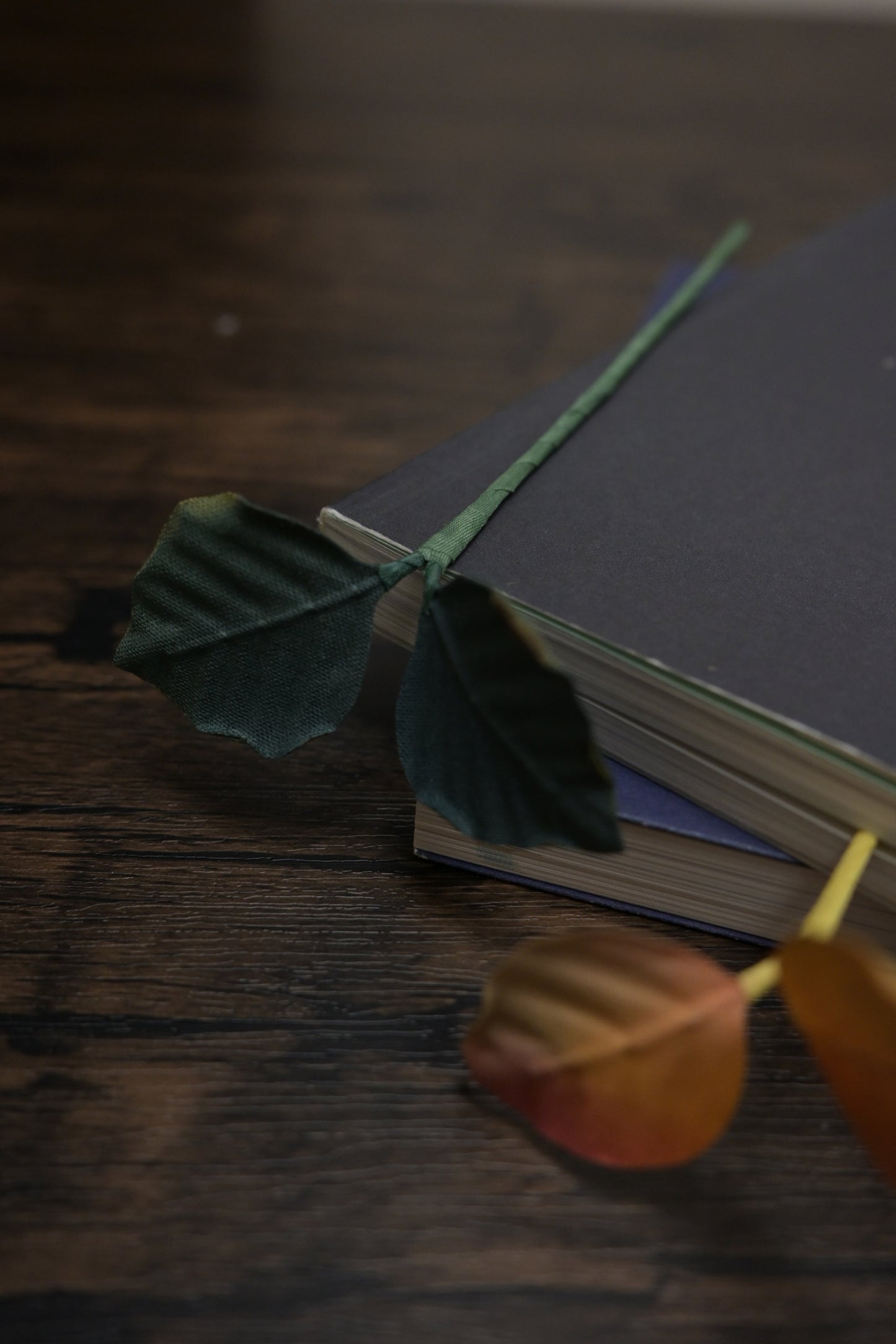 一葉書籤｜雙葉