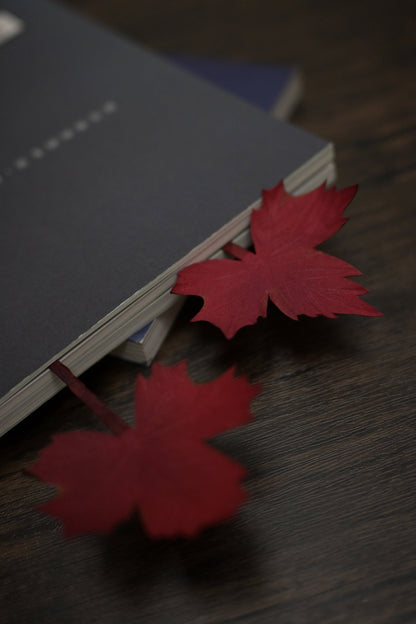 一葉書籤｜紅葉