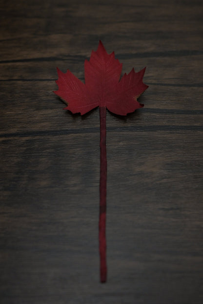 一葉書籤｜紅葉