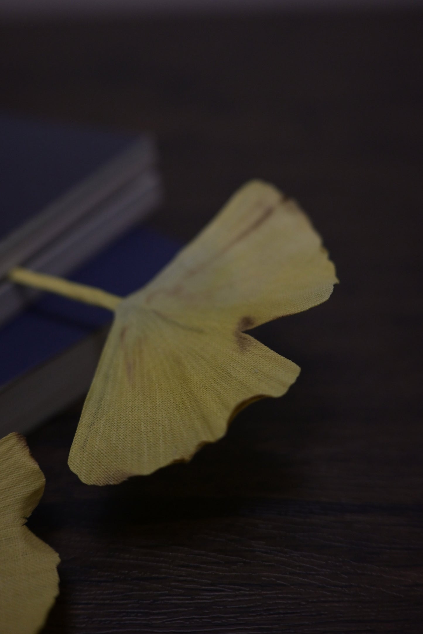 一葉書籤｜銀杏