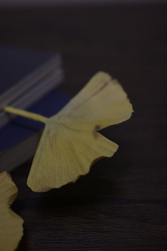 一葉書籤｜銀杏