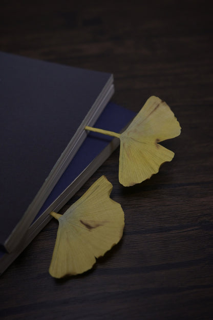 一葉書籤｜銀杏