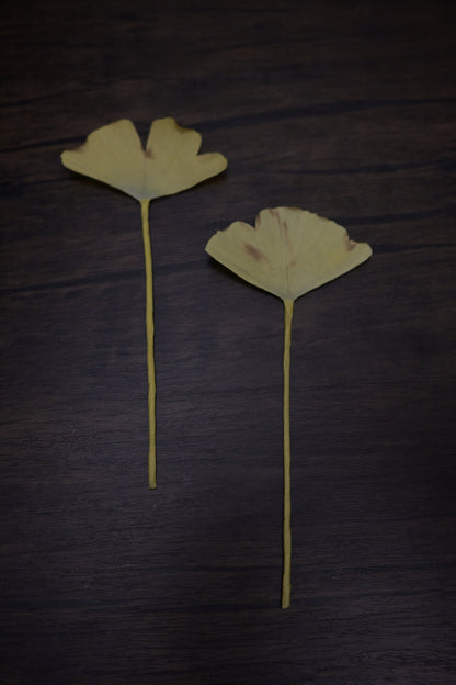 一葉書籤｜銀杏