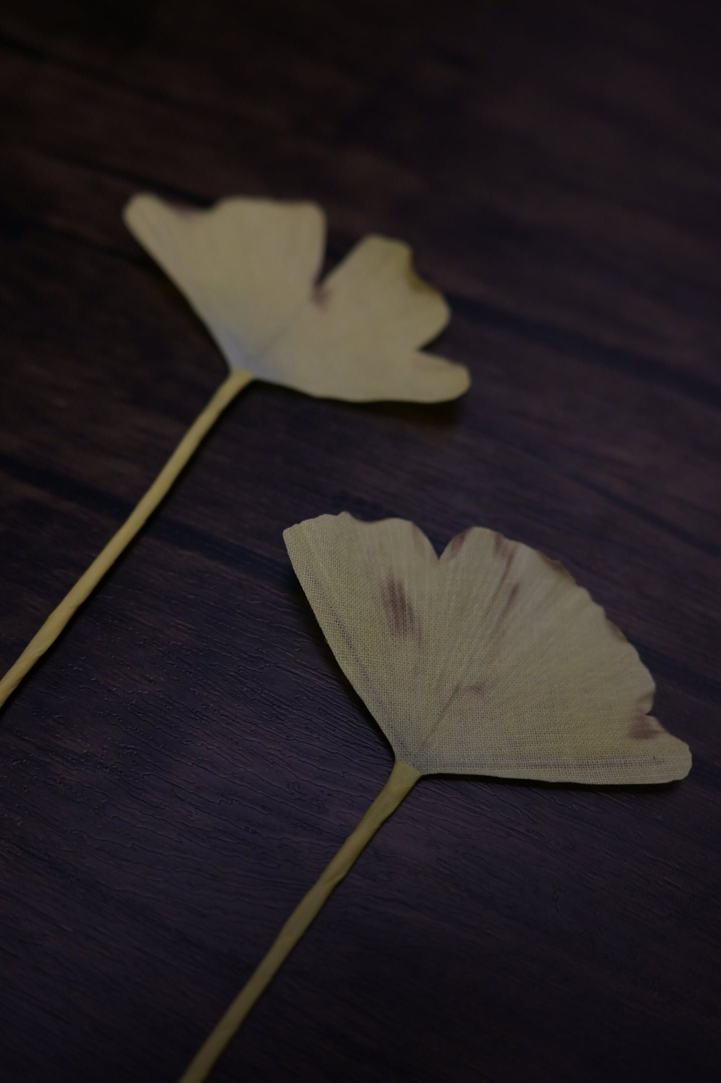 一葉書籤｜銀杏