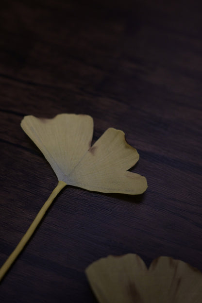 一葉書籤｜銀杏
