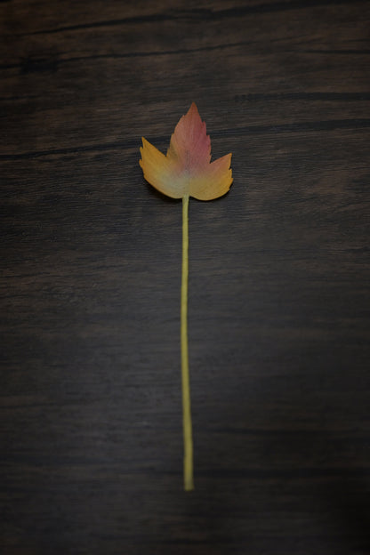 一葉書籤｜葡萄葉