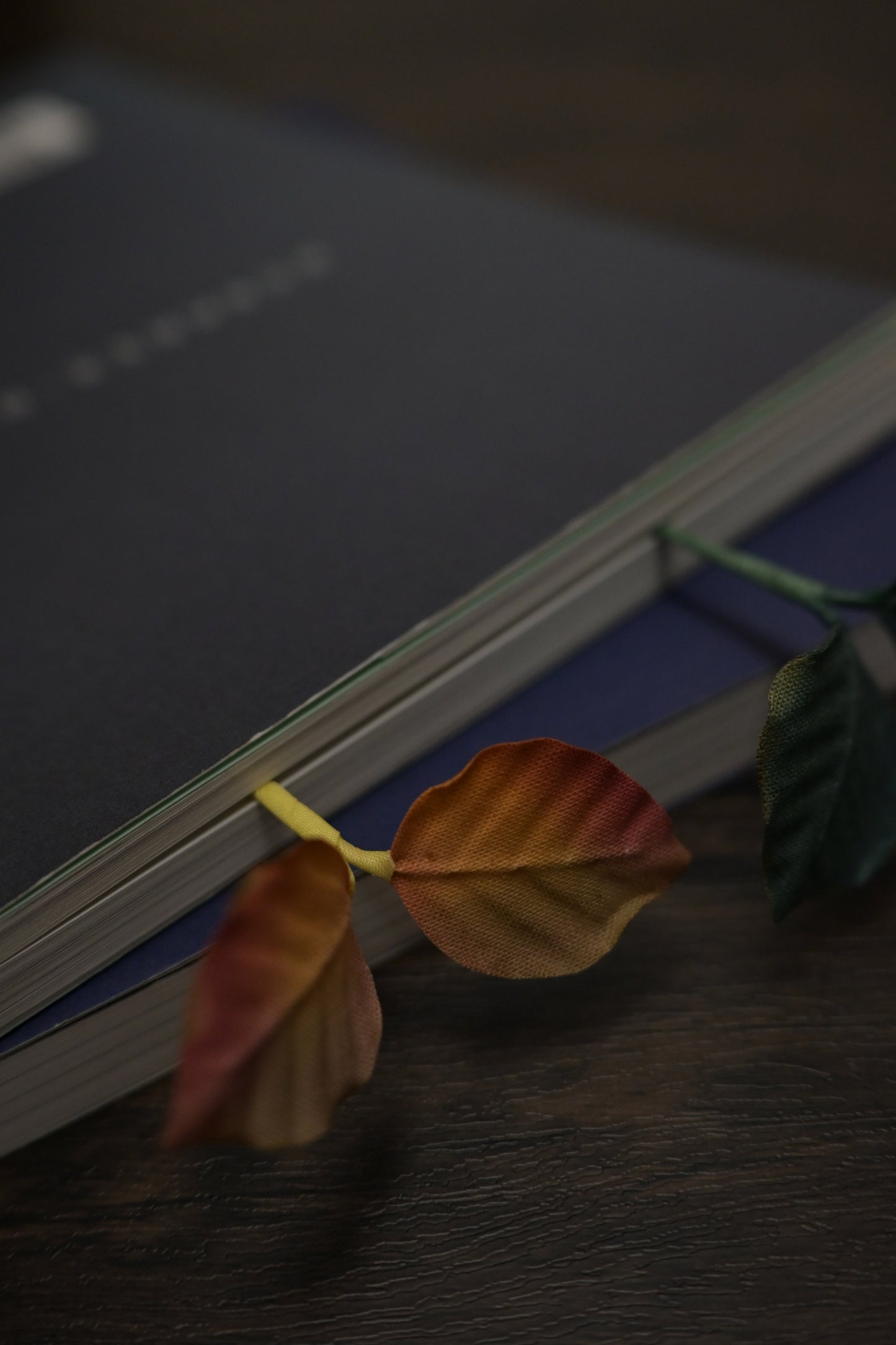 一葉書籤｜雙葉