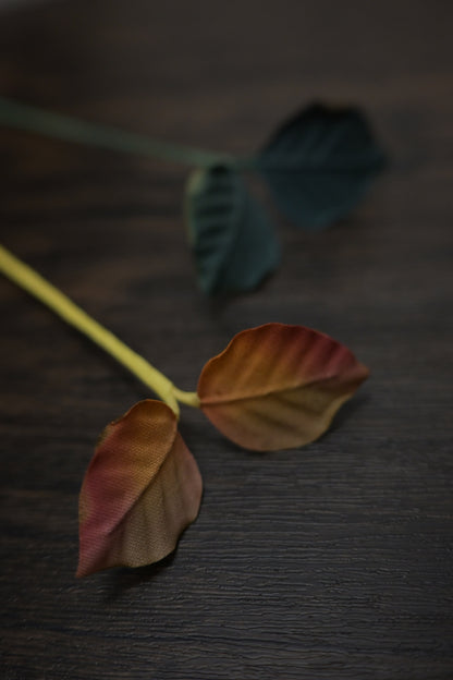 一葉書籤｜雙葉