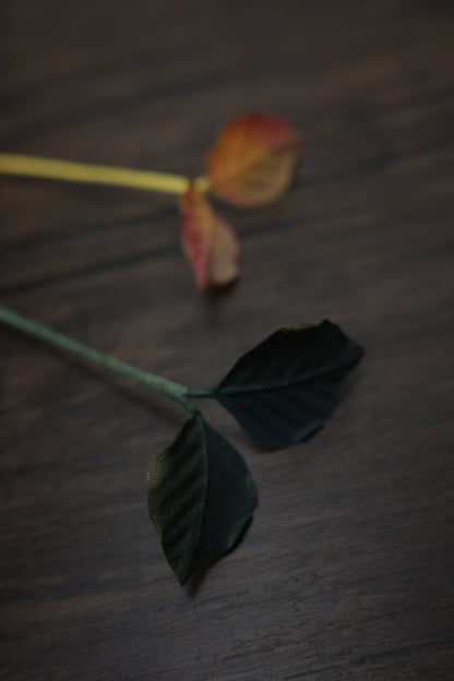 一葉書籤｜雙葉