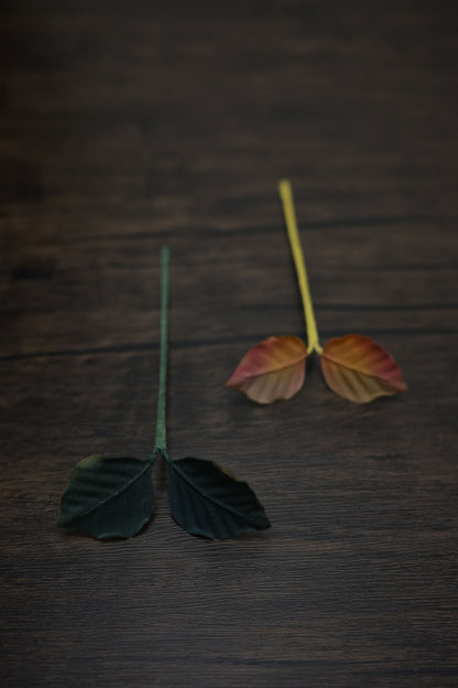 一葉書籤｜雙葉