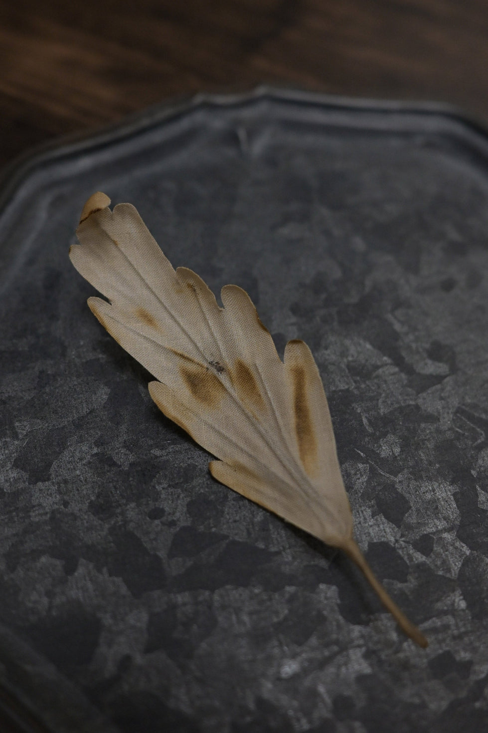 天然染｜橡樹葉心口針