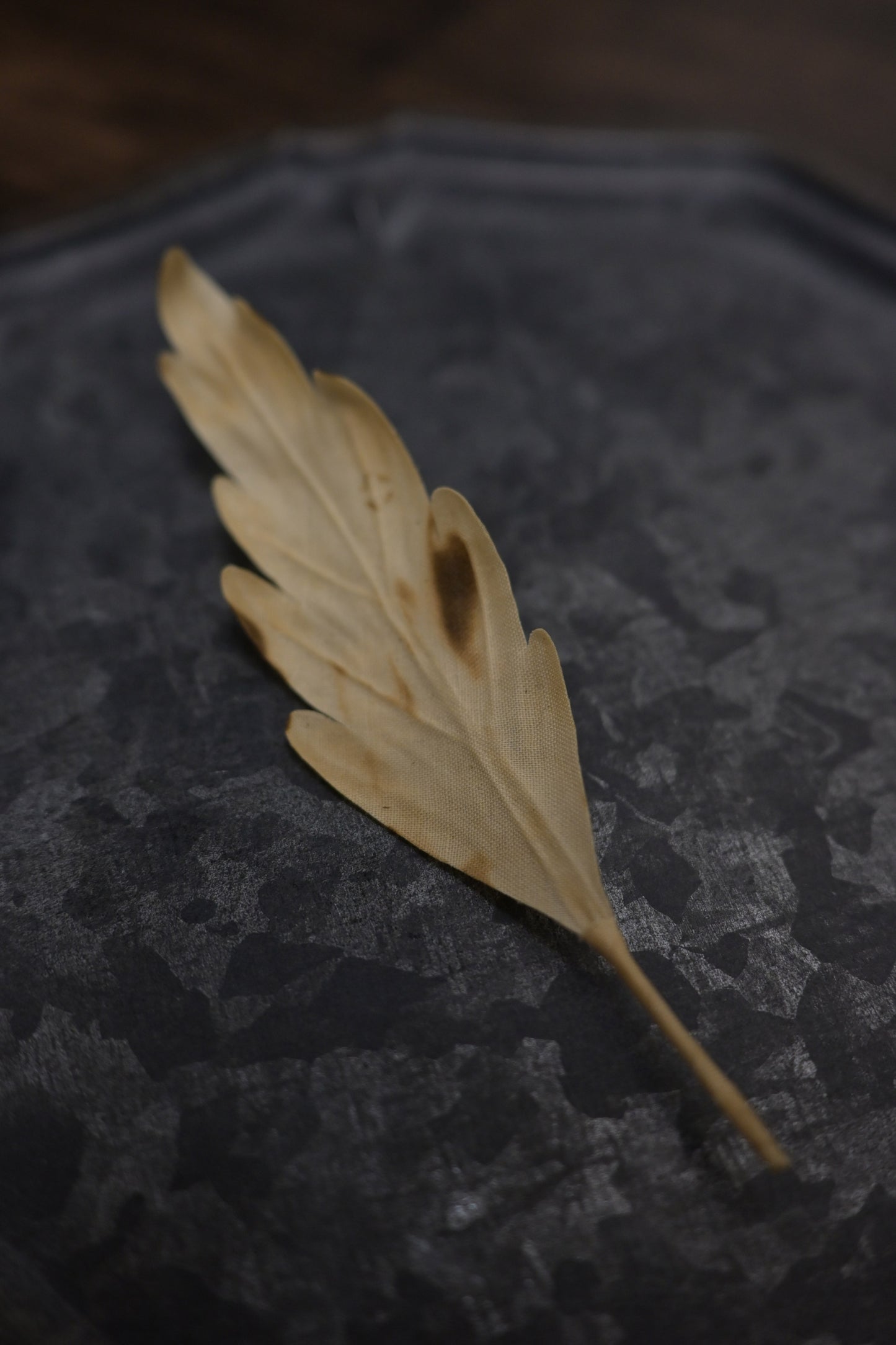 天然染｜橡樹葉心口針