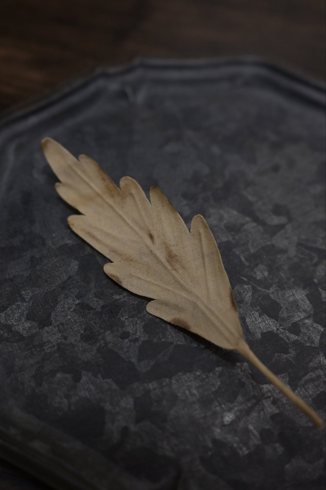 天然染｜橡樹葉心口針