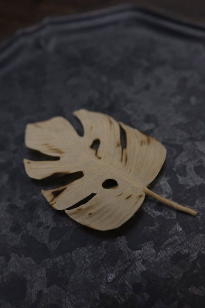 天然染｜龜背竹心口針