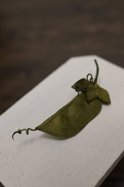 荷蘭豆｜心口針