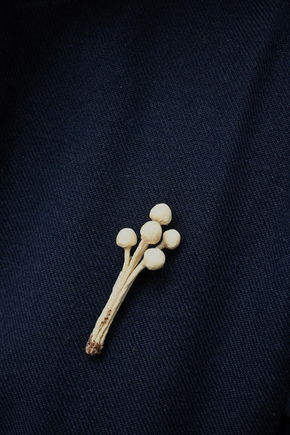 茶染金菇心口針班