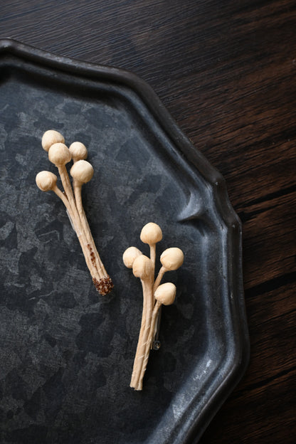 茶染金菇心口針班