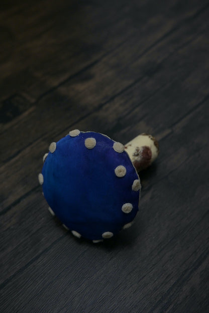 毒蠅傘｜藍色大毒菇｜心口針