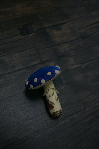 毒蠅傘｜藍色大毒菇｜心口針