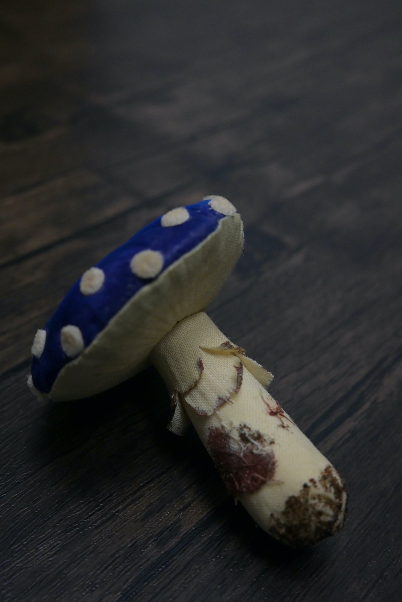 毒蠅傘｜藍色大毒菇｜心口針