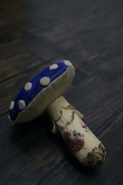 毒蠅傘｜藍色大毒菇｜心口針