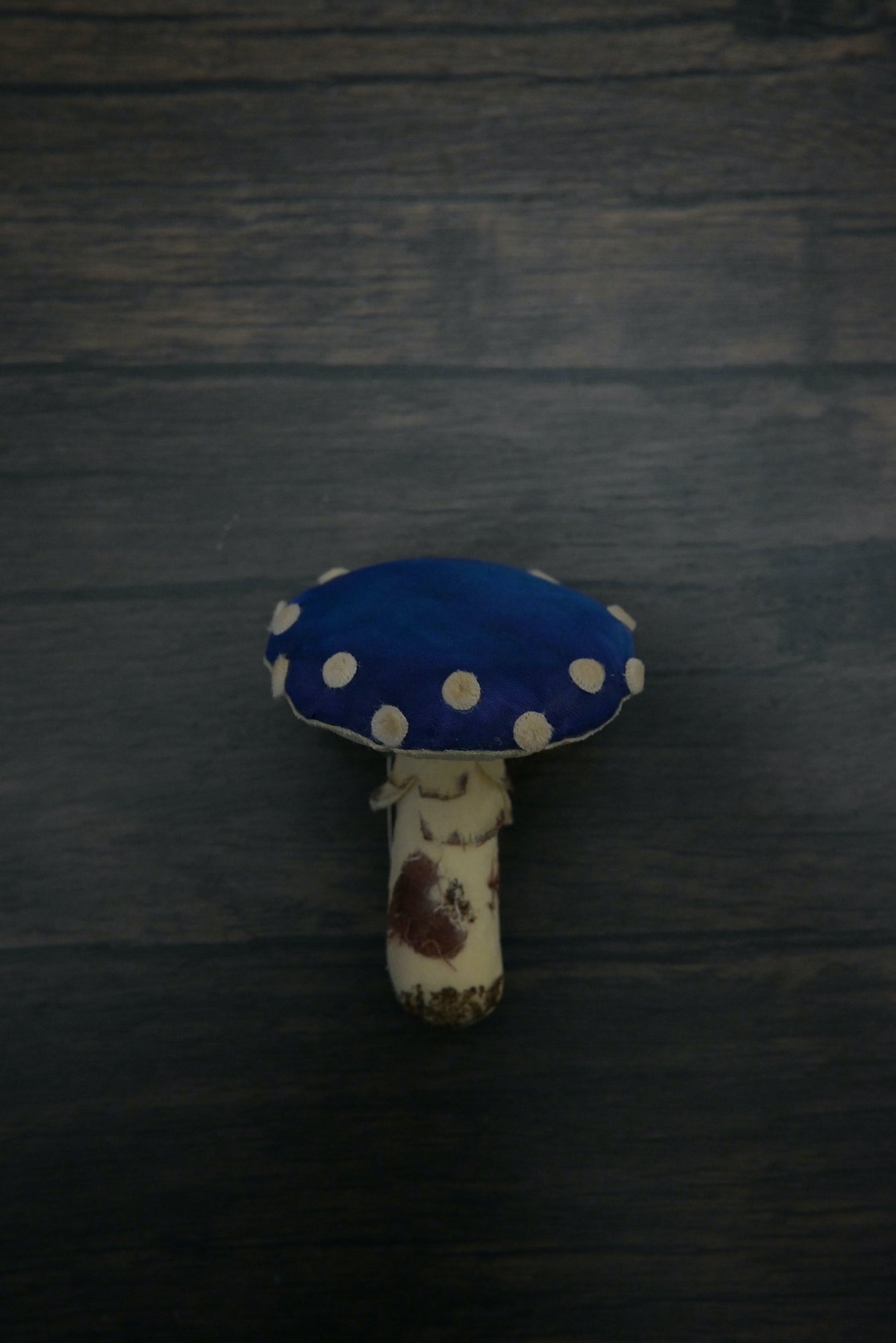 毒蠅傘｜藍色大毒菇｜心口針
