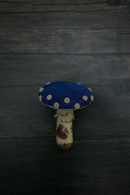 毒蠅傘｜藍色大毒菇｜心口針