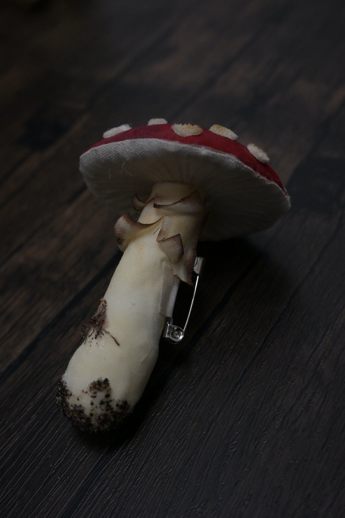 毒蠅傘｜紅色大毒菇｜心口針