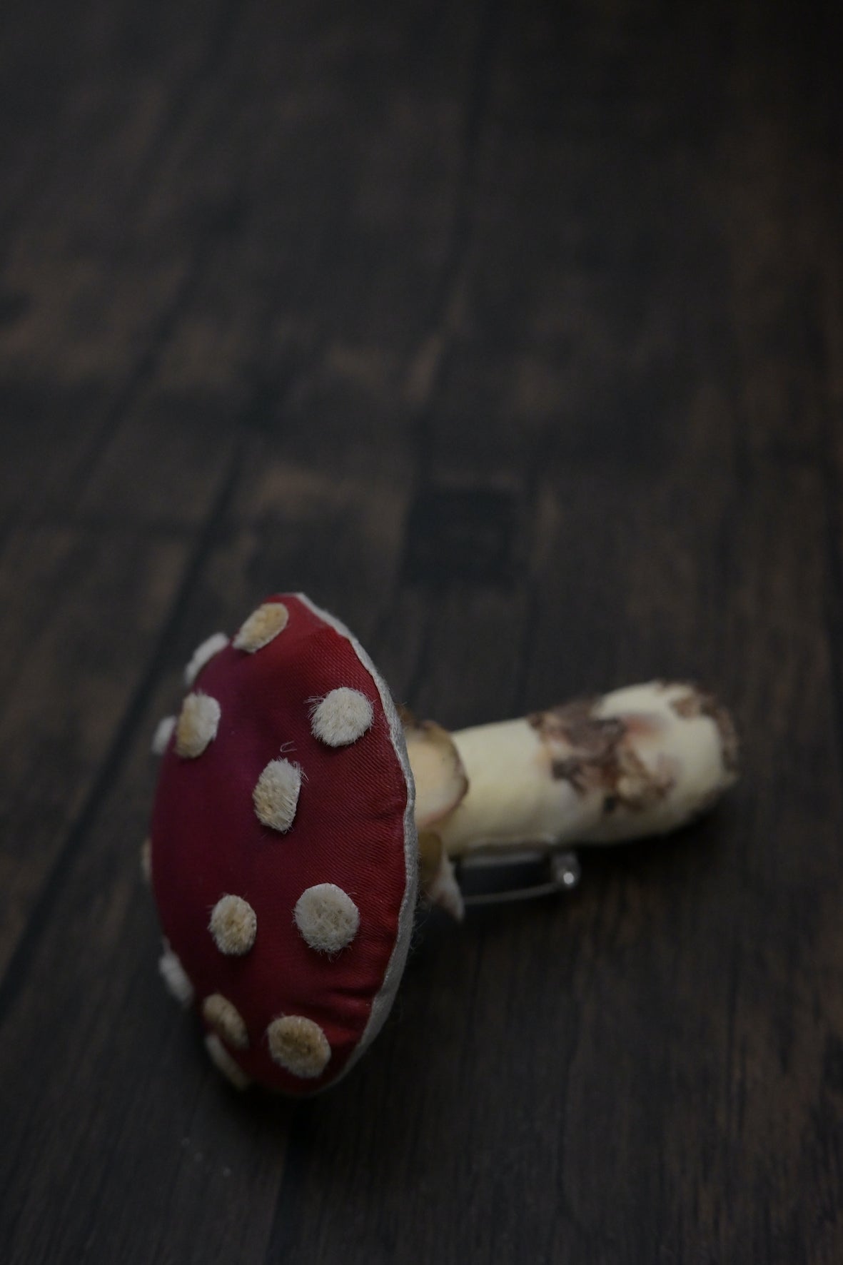 毒蠅傘｜紅色大毒菇｜心口針